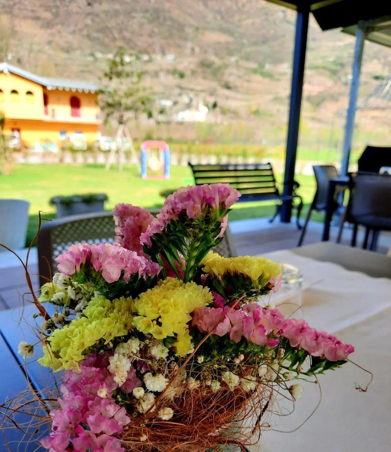 Agriturismo Terra Del Sole Albosaggia Eksteriør billede